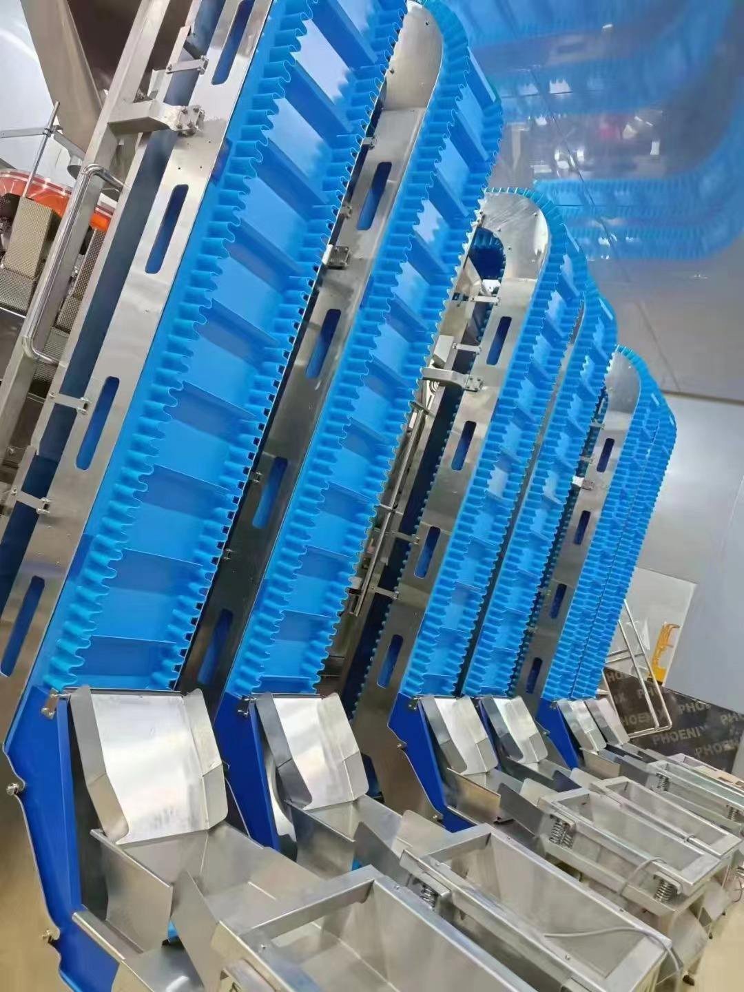Belt Conveyor thumbnail 2